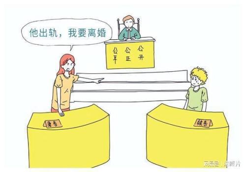 民事诉讼的举证责任遵循什么原则
